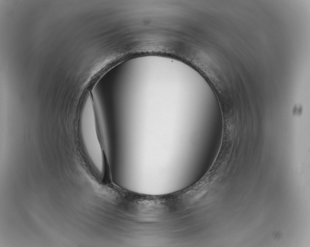 X0000093460160200710261028