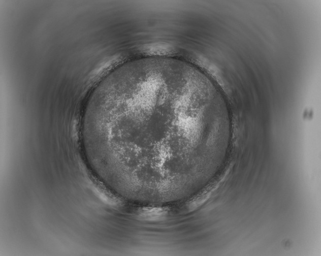 X0000093460161200710261028