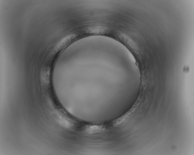 X0000093460163200710261028