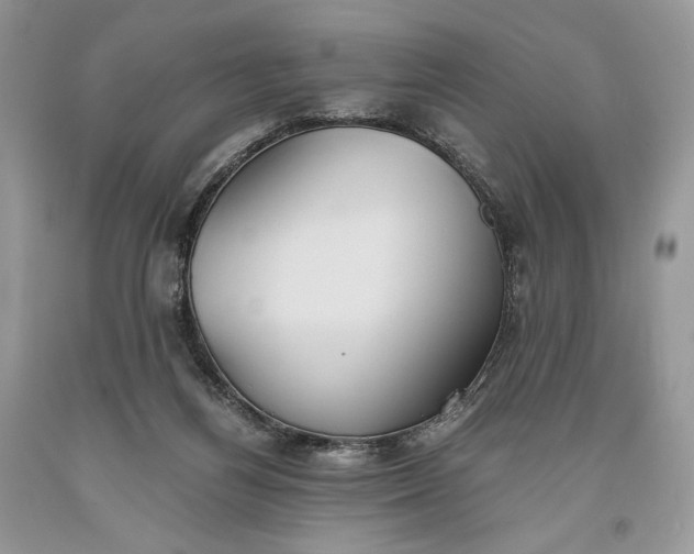 X0000093460164200710261028