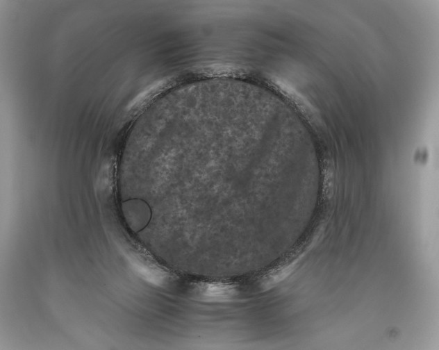 X0000093460165200710261028