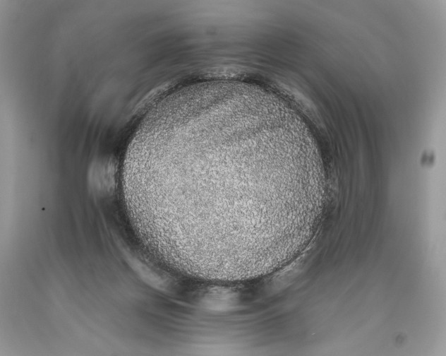 X0000093460166200710261028