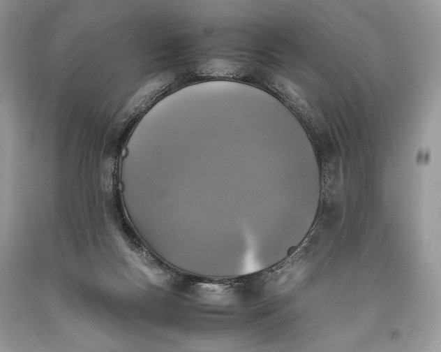 X0000093460167200710261028