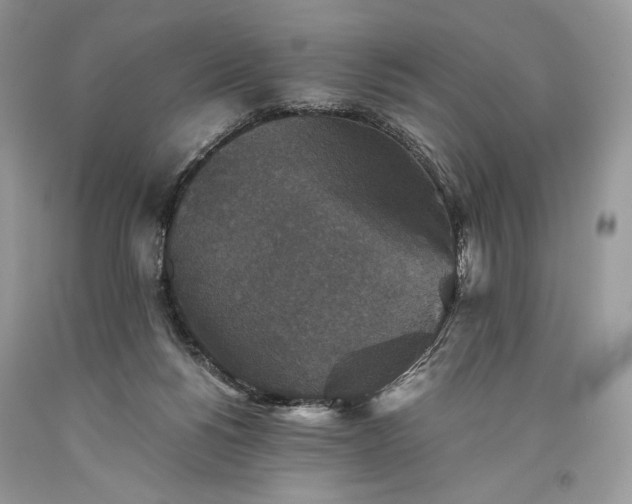 X0000093460168200710261028