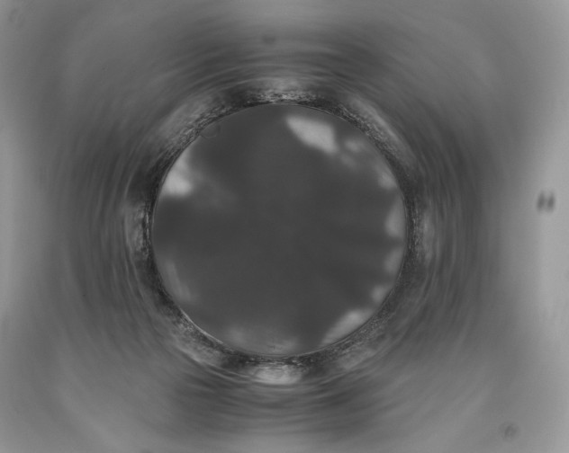 X0000093460169200710261028