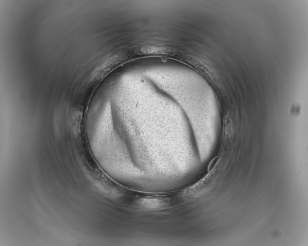 X0000093460171200710261028