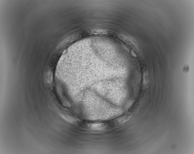 X0000093460173200710261028