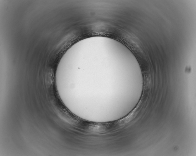 X0000093460174200710261028