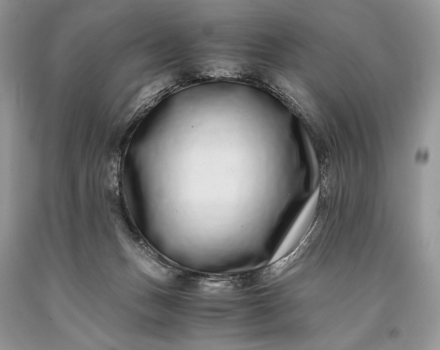 X0000093460175200710261028