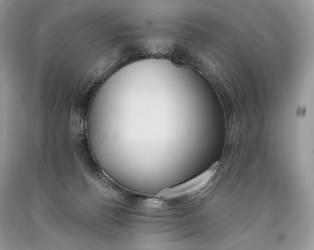 X0000093460176200710261028