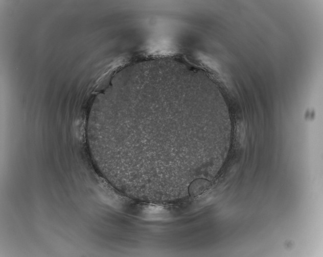 X0000093460177200710261028