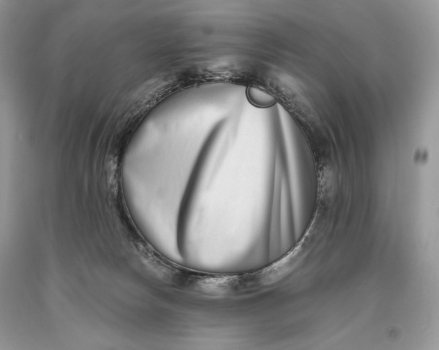 X0000093460178200710261028