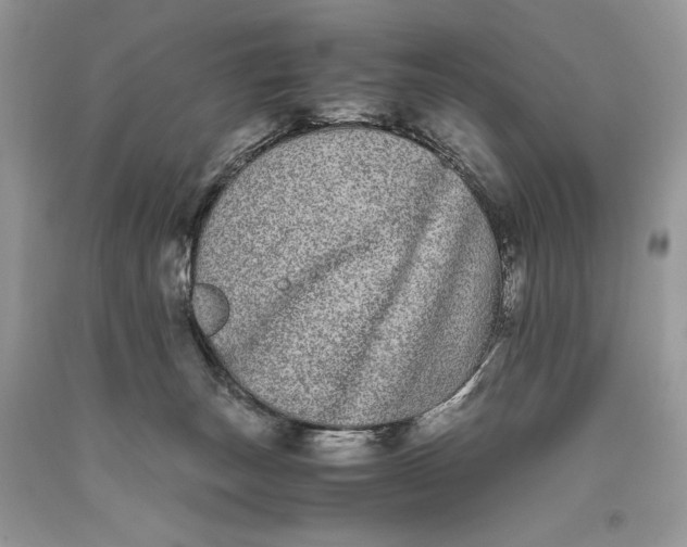 X0000093460179200710261028