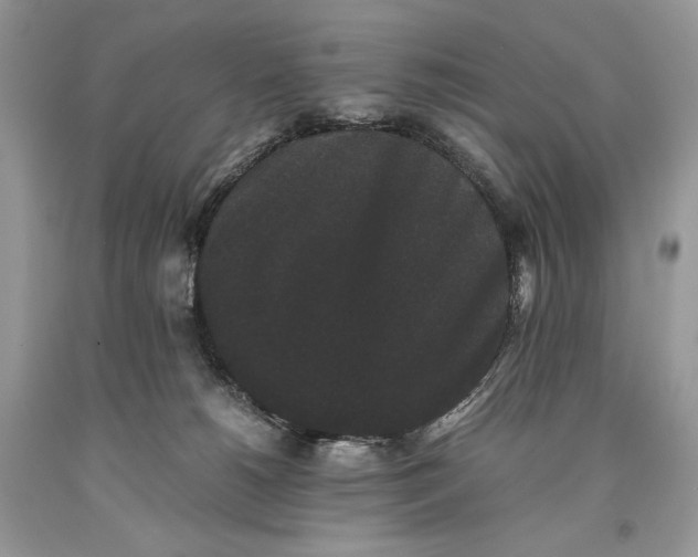 X0000093460180200710261028