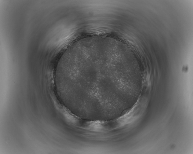 X0000093460182200710261028