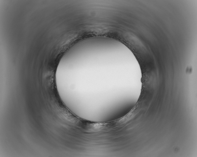 X0000093460184200710261028