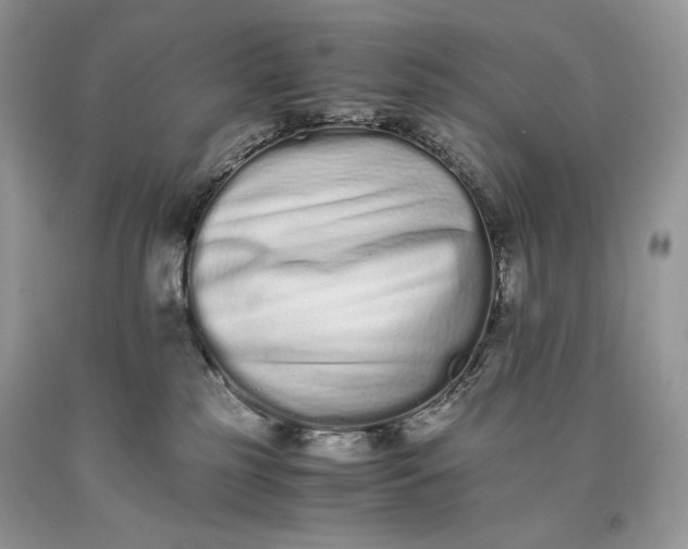 X0000093460185200710261028