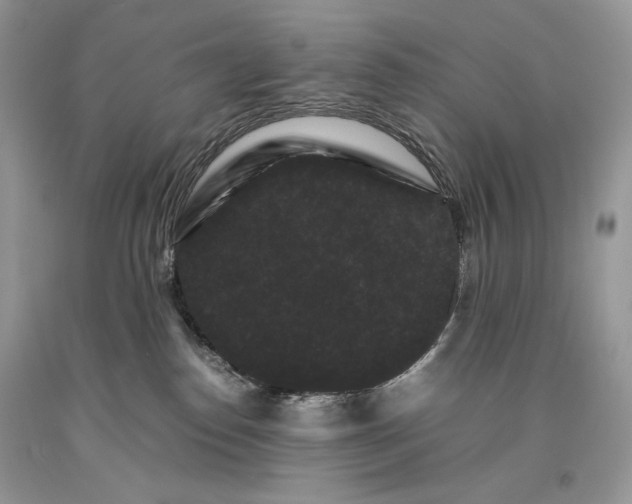 X0000093460186200710261028