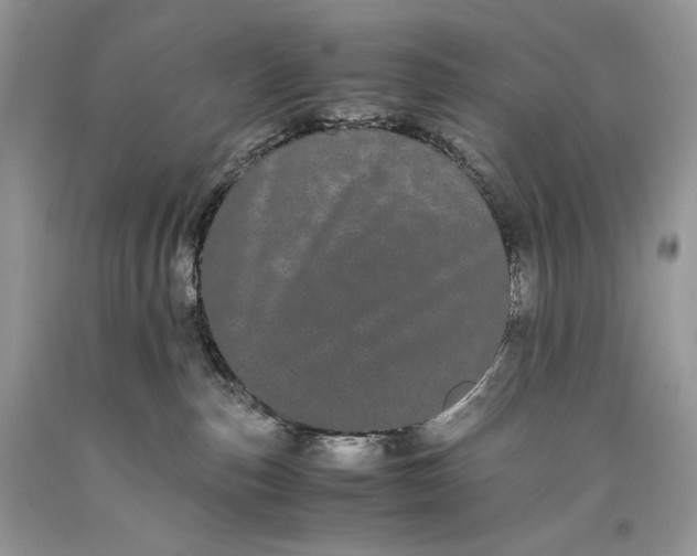 X0000093460187200710261028