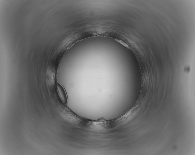 X0000093460188200710261028