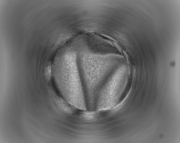 X0000093460190200710261028