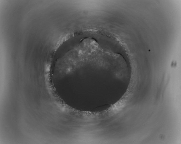 X0000093460192200710261028