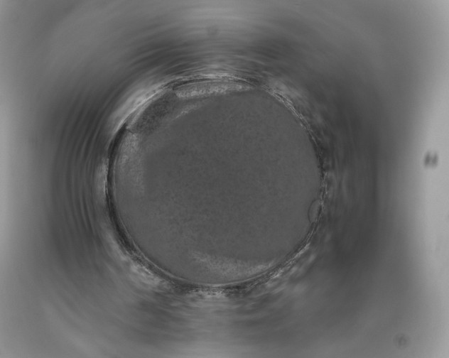 X0000093460194200710261028