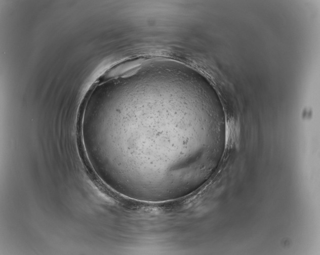 X0000093460195200710261028