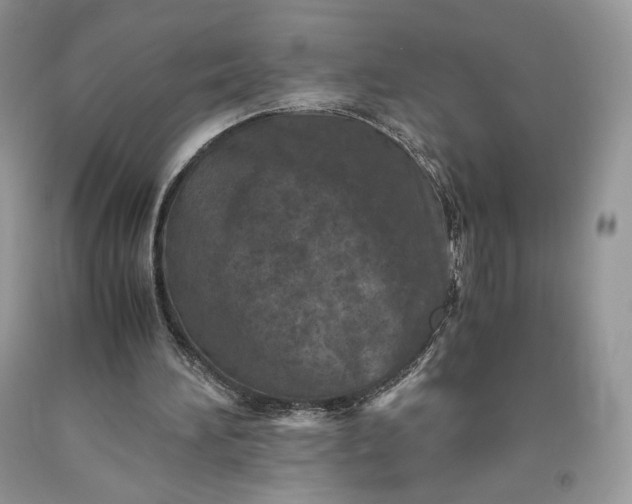 X0000093460196200710261028