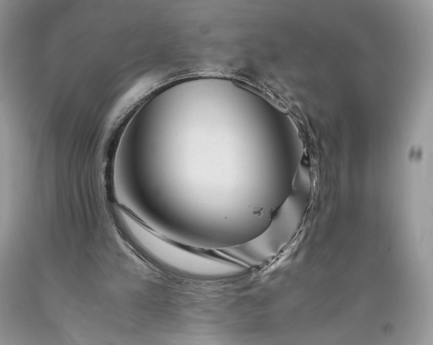 X0000093460197200710261028