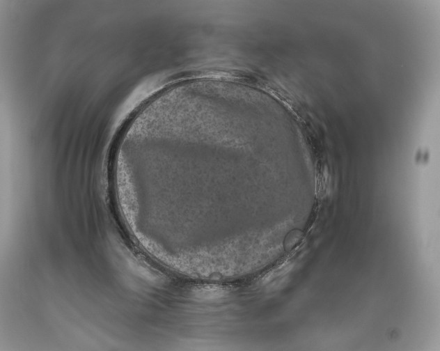 X0000093460198200710261028