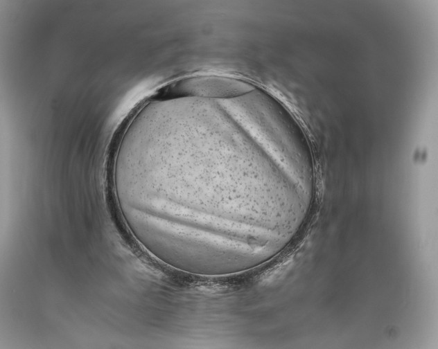 X0000093460199200710261028