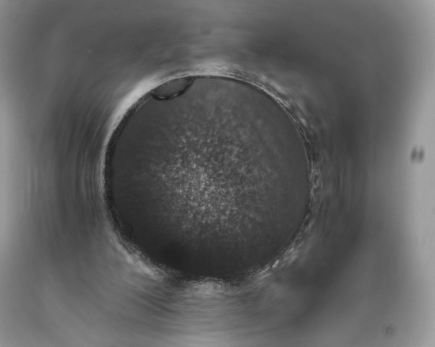 X0000093460200200710261028