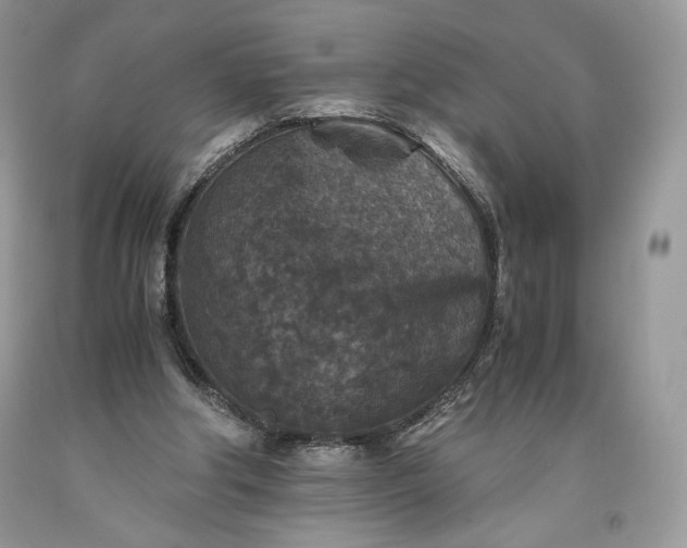 X0000093460202200710261028