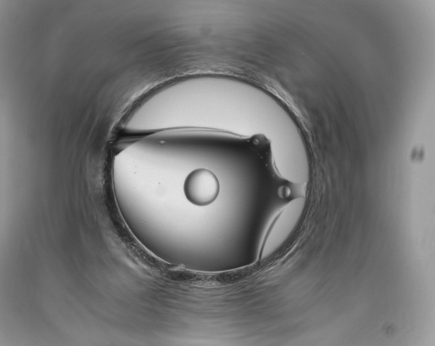 X0000093460203200710261028