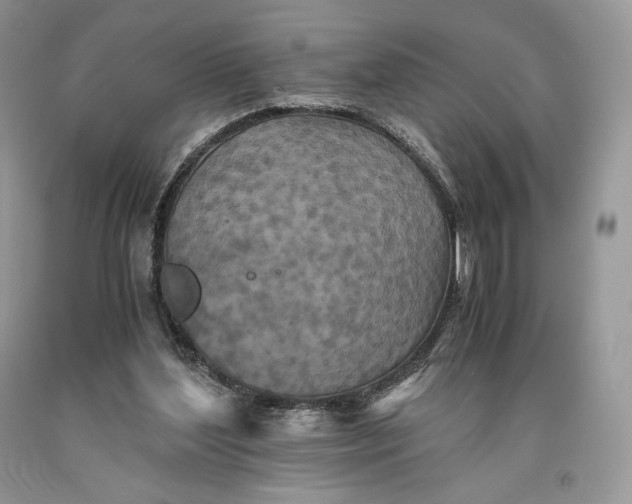 X0000093460204200710261028