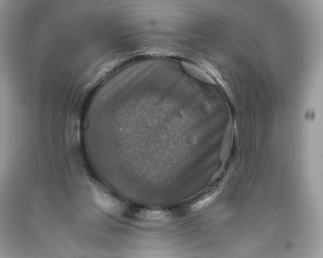 X0000093460205200710261028