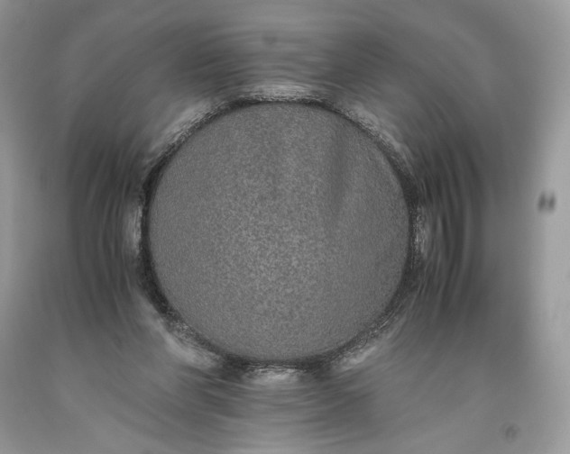 X0000093460206200710261028