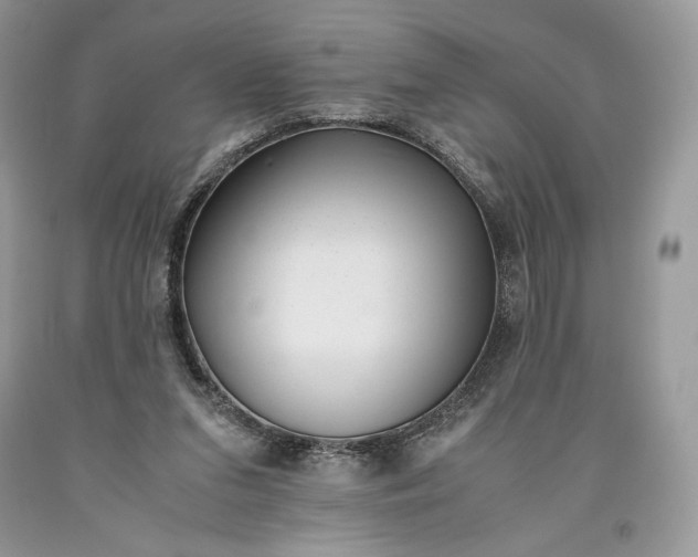 X0000093460207200710261028