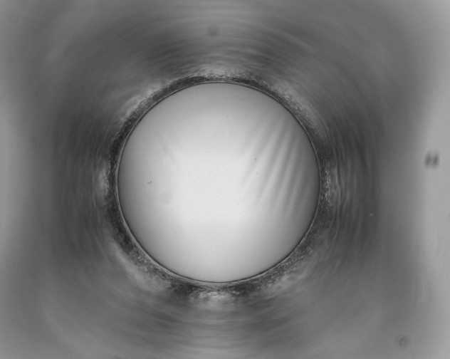 X0000093460208200710261028