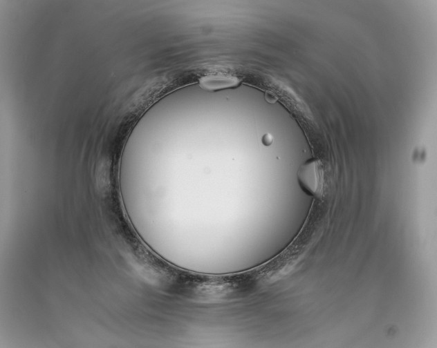 X0000093460213200710261028