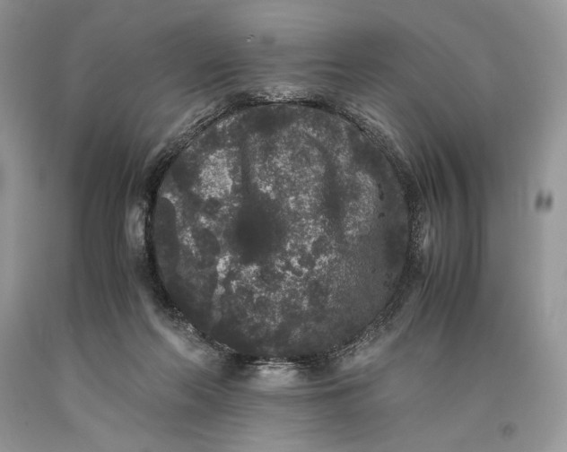 X0000093460214200710261028