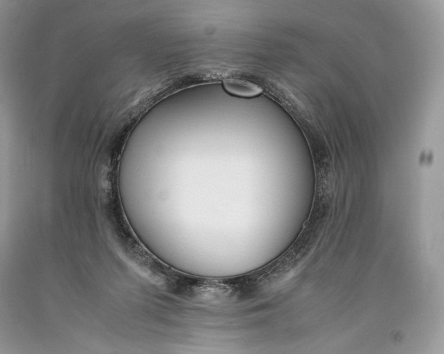 X0000093460215200710261027