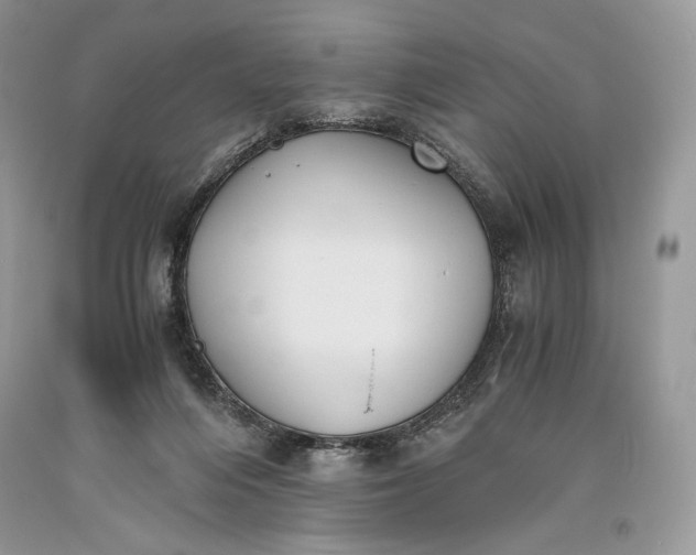 X0000093460216200710261027