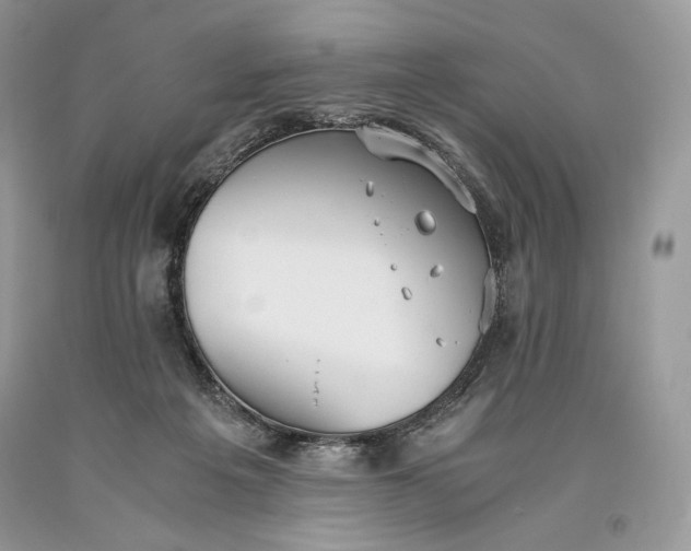 X0000093460217200710261027