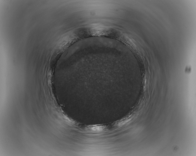 X0000093460219200710261027