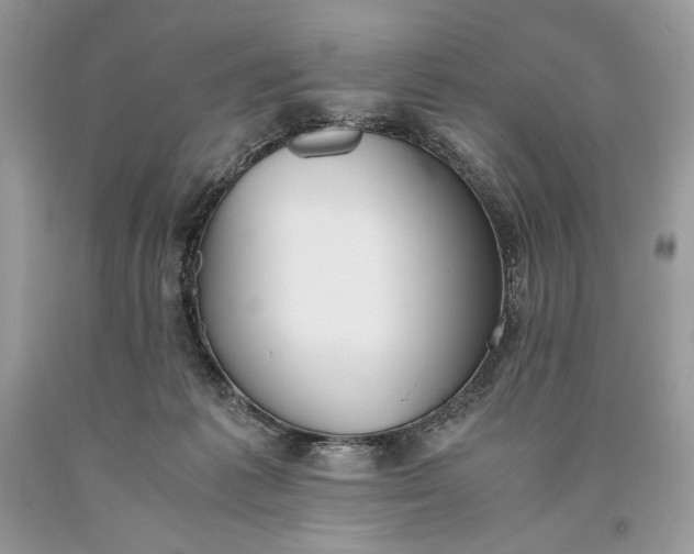 X0000093460221200710261027