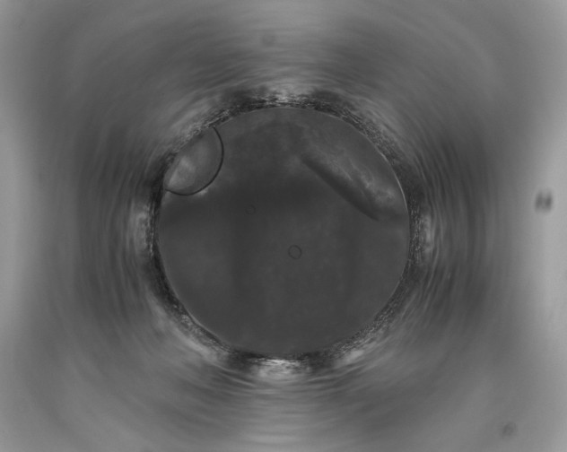 X0000093460222200710261027