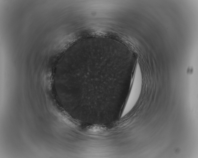 X0000093460223200710261027