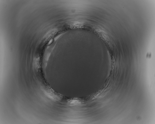 X0000093460224200710261027